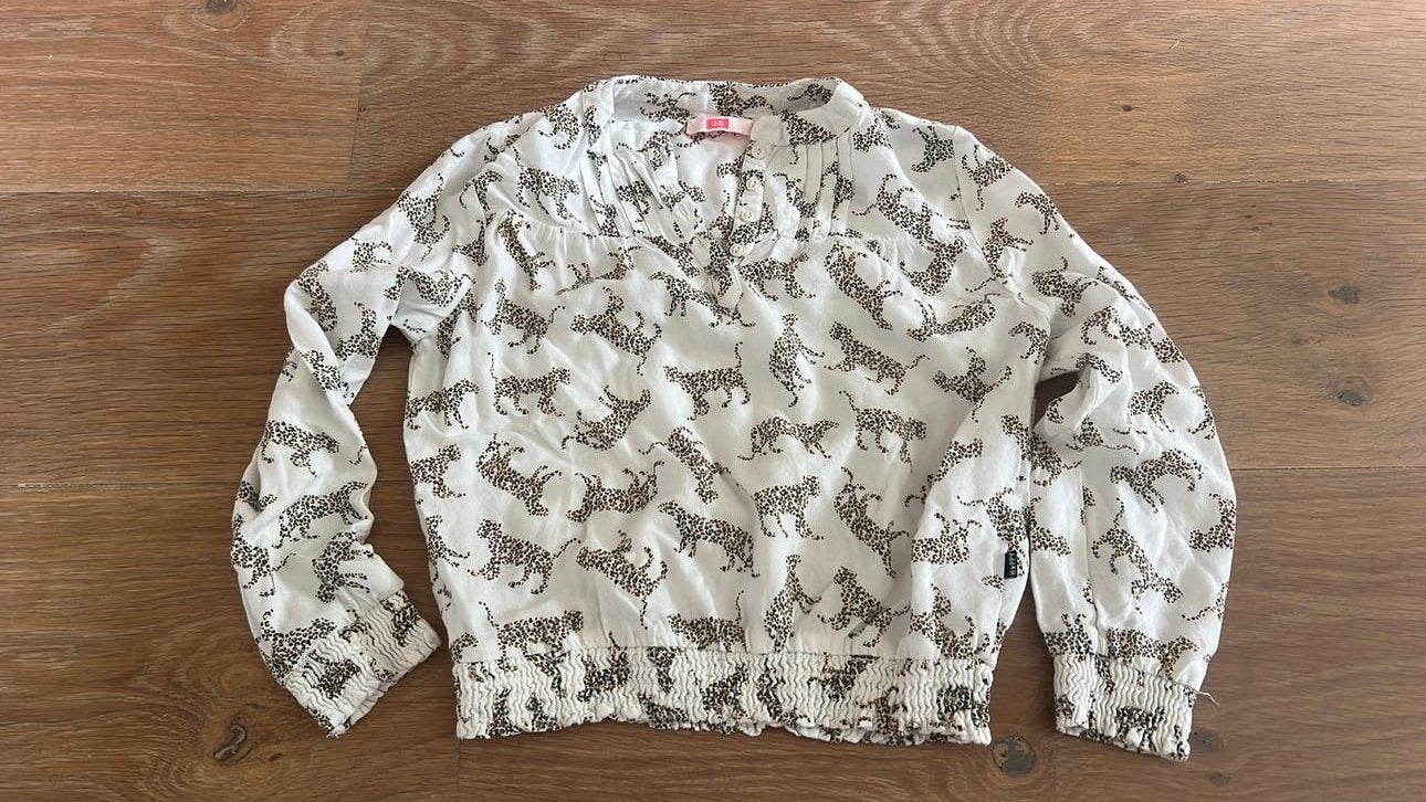 Truitje maat 110/116, Ophalen of Verzenden, Zo goed als nieuw, Meisje, Shirt of Longsleeve