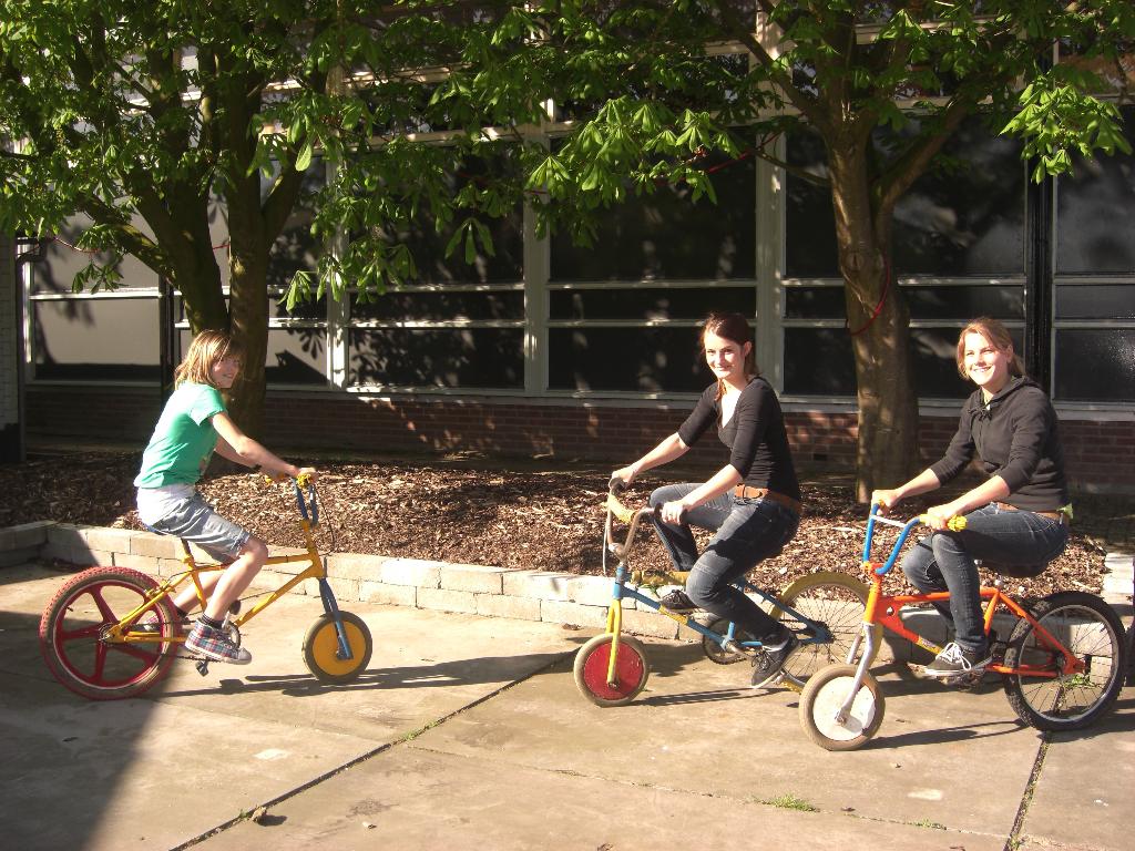 Hobbelfiets (diversen), Ophalen, Gebruikt, Overige typen