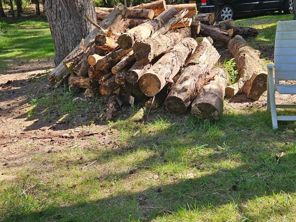 Te koop brandhout dennenbomen., Tuin en Terras, Haardhout, Minder dan 3 m³, Ophalen