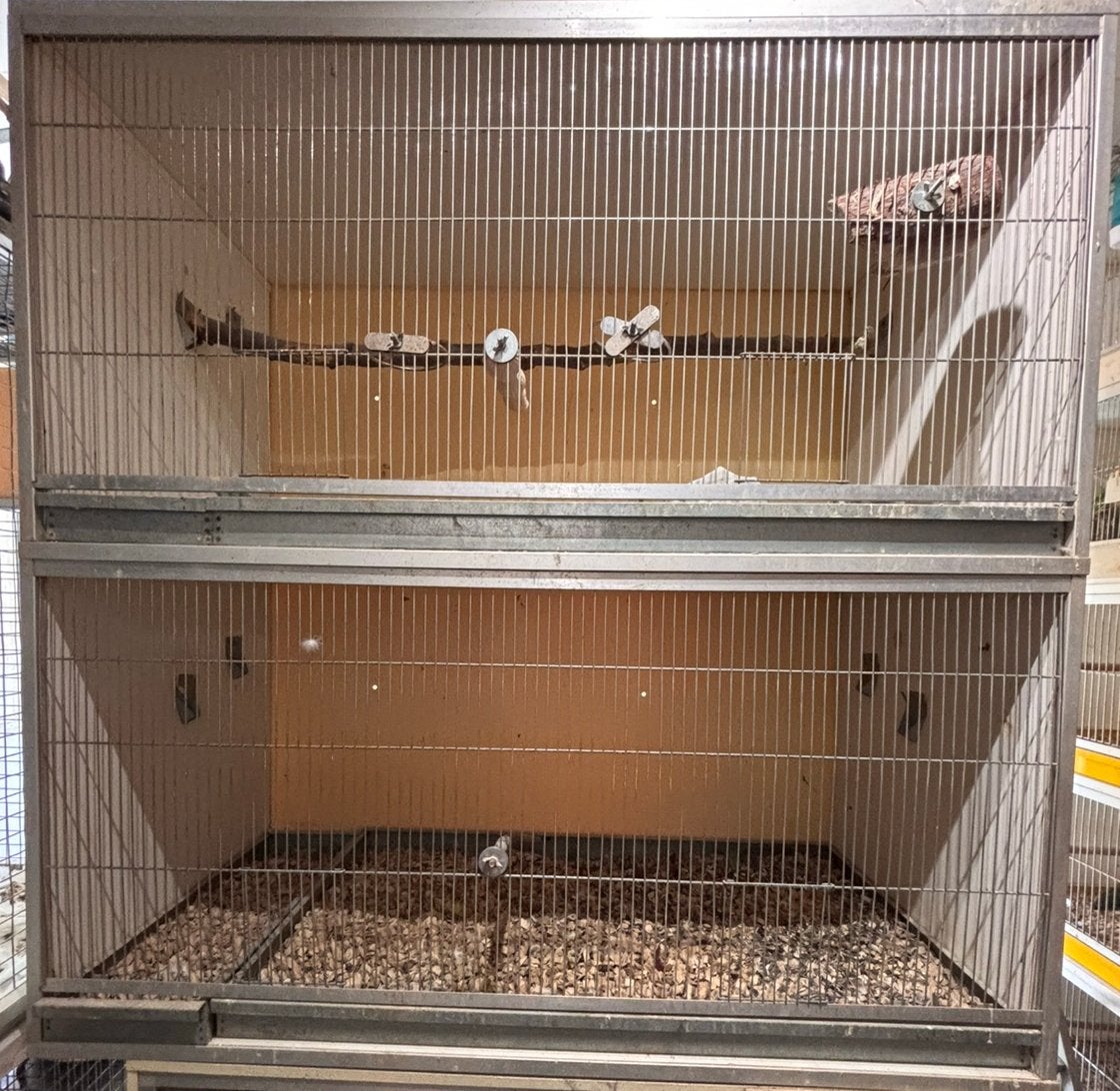 Kweek kooi vluchtkooi van keulen, Dieren en Toebehoren, Vogels | Hokken en Kooien, Ophalen, Zo goed als nieuw, Broedkooi of Kweekkooi
