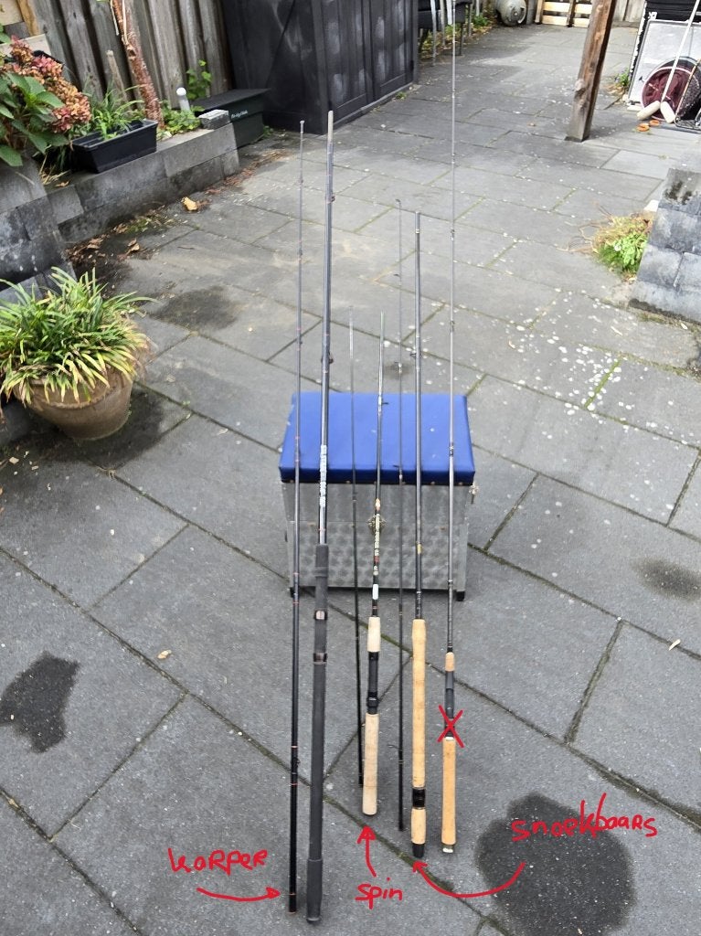 Visspullen. Snoekbaar set: hengels, molen en kunstaas, Ophalen, Gebruikt, Overige typen