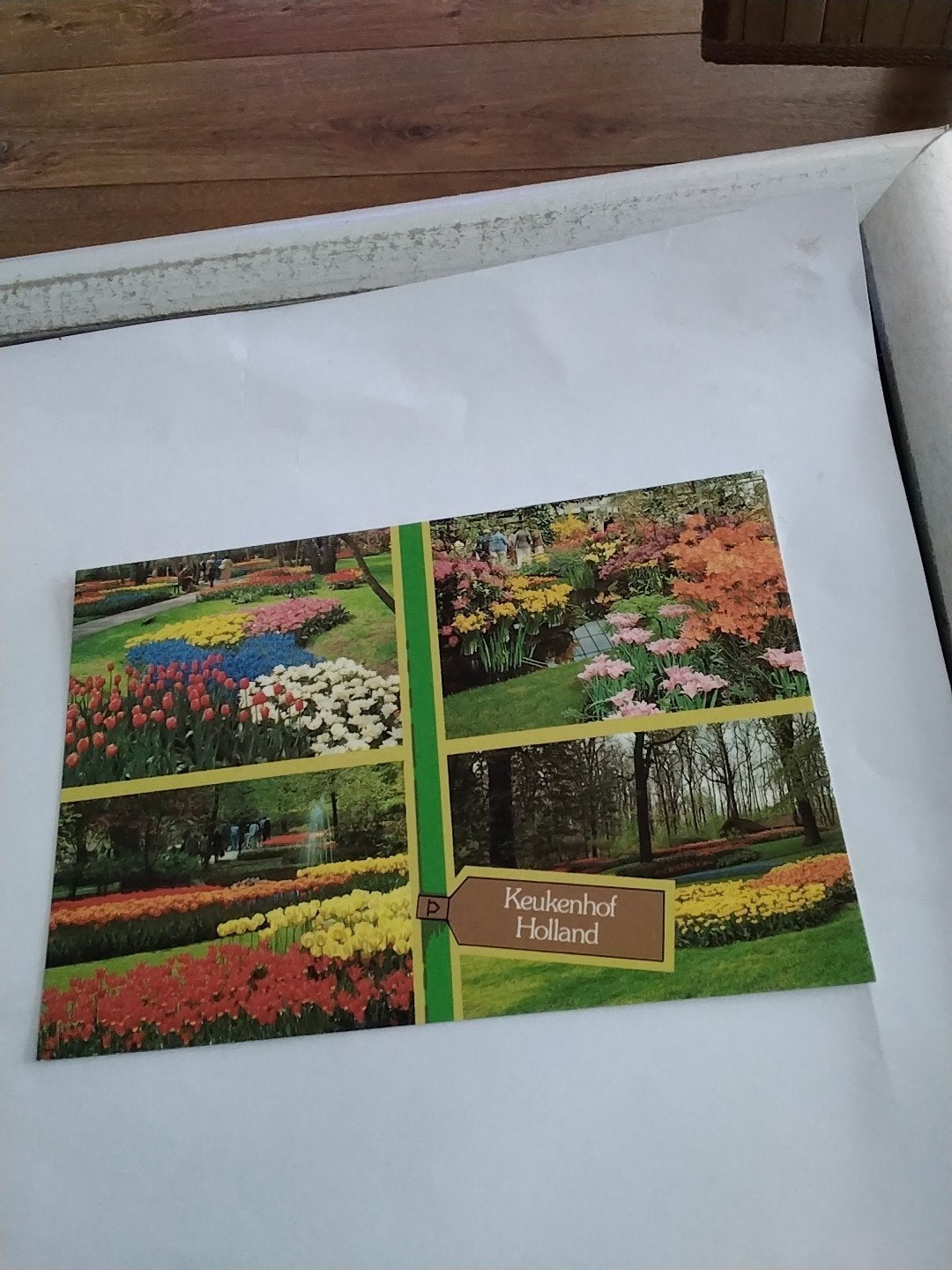 Keukenhof Holland Ansichtkaart - Bloemenpracht, Ophalen of Verzenden, 1980 tot heden, Ongelopen, Zuid-Holland