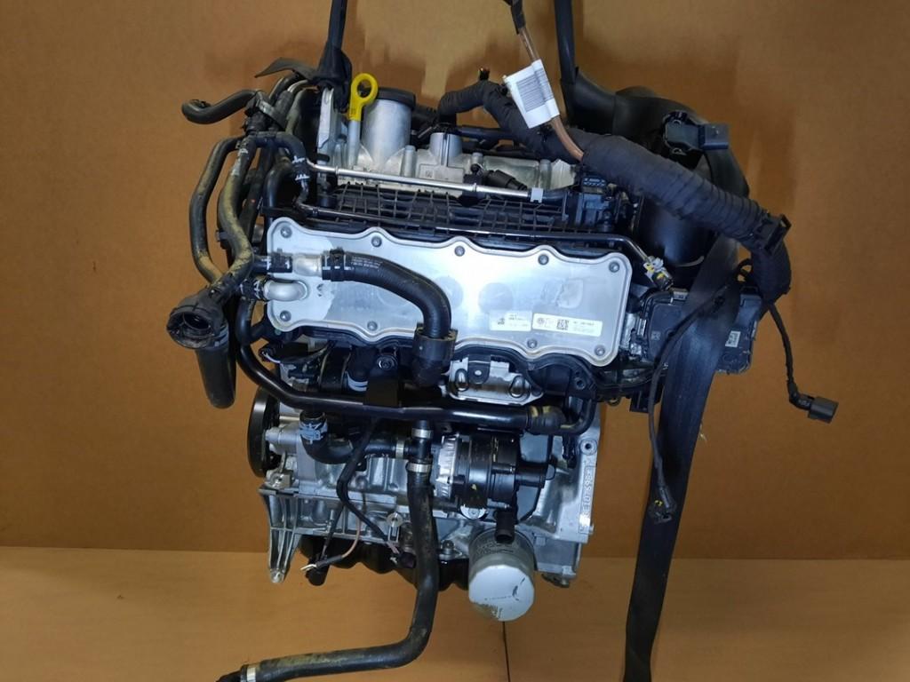 Motor Cupra Leon (KLCB) (2020-09/..) 04E100038F, Nijkerkerstraat 27a, AMERSFOORT 3821 CD, Utrecht, , Nederland, Gebruikt, Ham Autodemontage B.V.