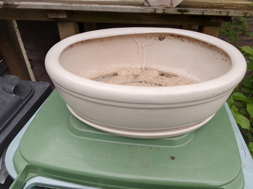 Bonsaischaal ovaal met onderschotel, Ophalen, Gebruikt, Balkon, Overige vormen