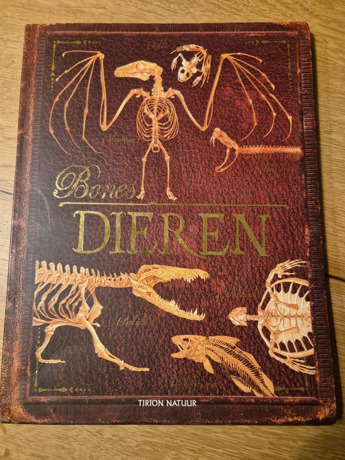 Bones Dieren - Ontdek dieren botje voor botje, Ophalen of Verzenden, Zo goed als nieuw, Overige diersoorten, Tirion Natuur