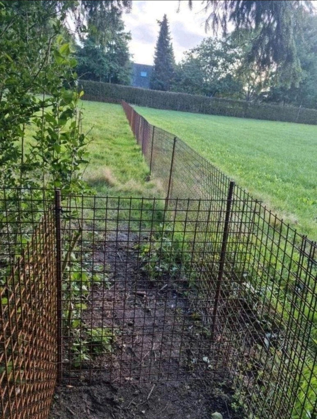 Nieuw! 120 meter betongaas! Maaswijdte 5x5cm hoogte 90/95cm, Ophalen, Nieuw, IJzer