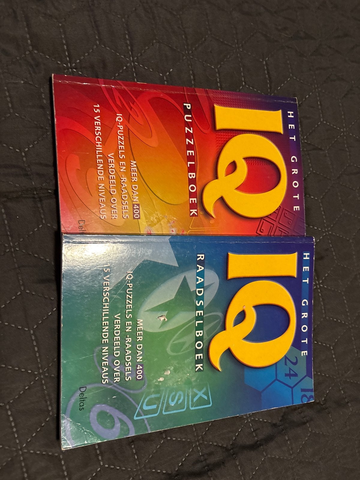 Het Grote IQ Puzzelboek en Raadselboek - 2 boeken, Ophalen, Gebruikt, Puzzelboek