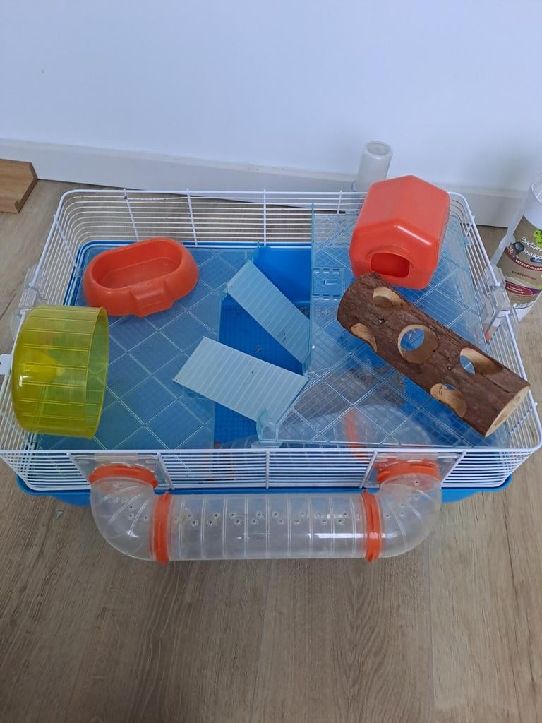 Hamsterkooi compleet, Ophalen, Minder dan 75 cm, Kooi, Minder dan 60 cm