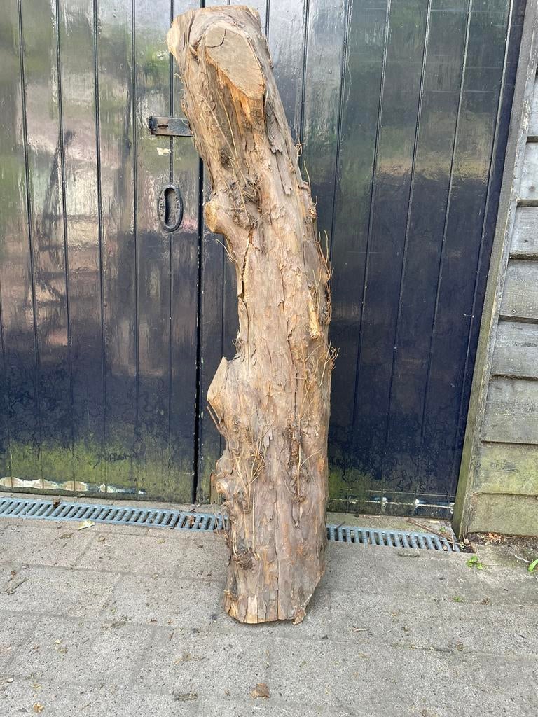 Taxus hout, Ophalen, Zo goed als nieuw