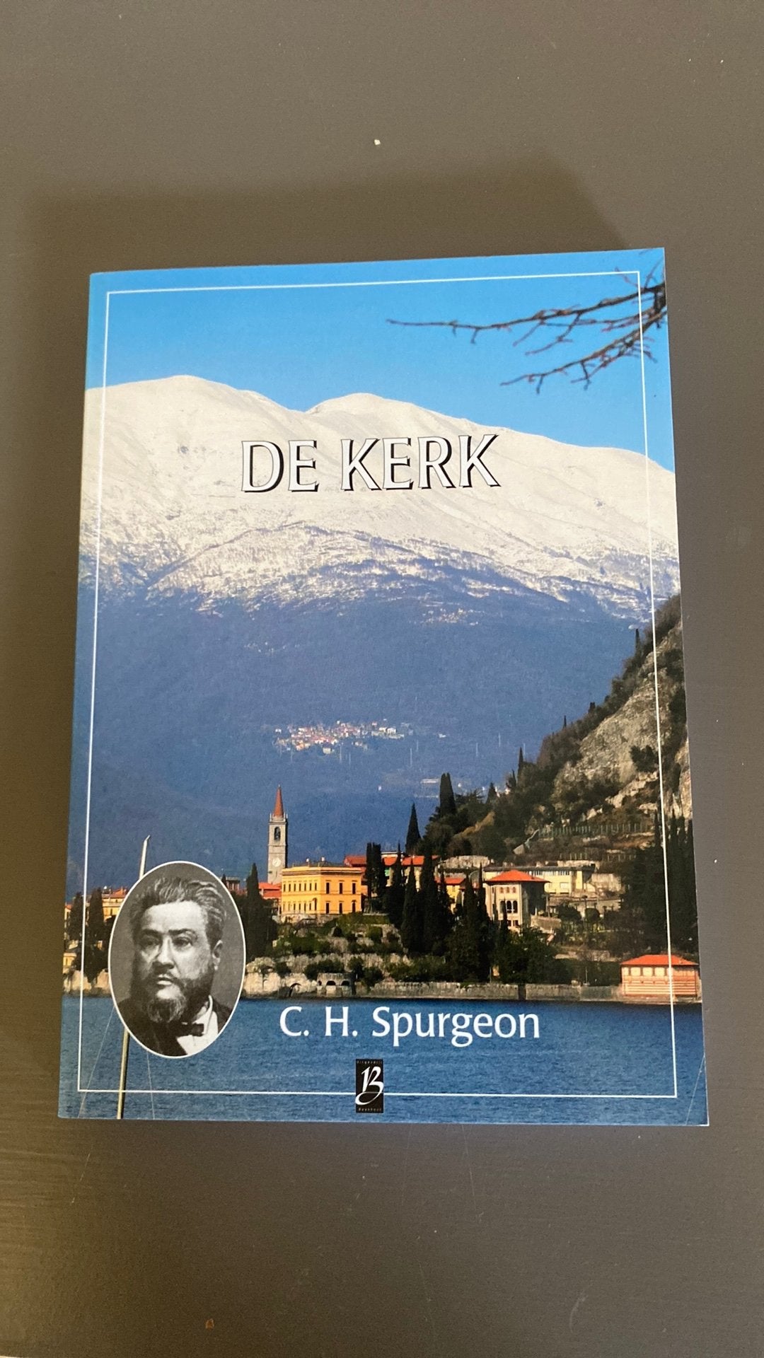 Spurgeon - De Kerk (Nr. 29), Boeken, Ophalen of Verzenden, Nieuw