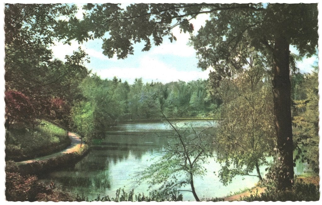967676	Apeldoorn	Berg en Bos	Gld	1958	Niet gelopen, Ophalen of Verzenden, 1940 tot 1960, Ongelopen, Gelderland