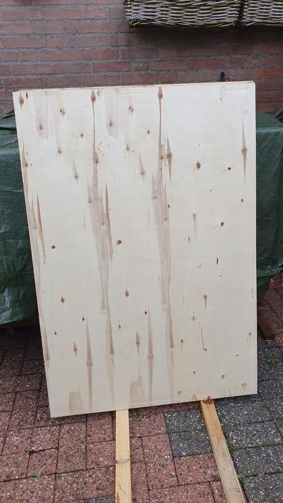 Multiplex platen 1220x850x18mm, Ophalen of Verzenden, Multiplex