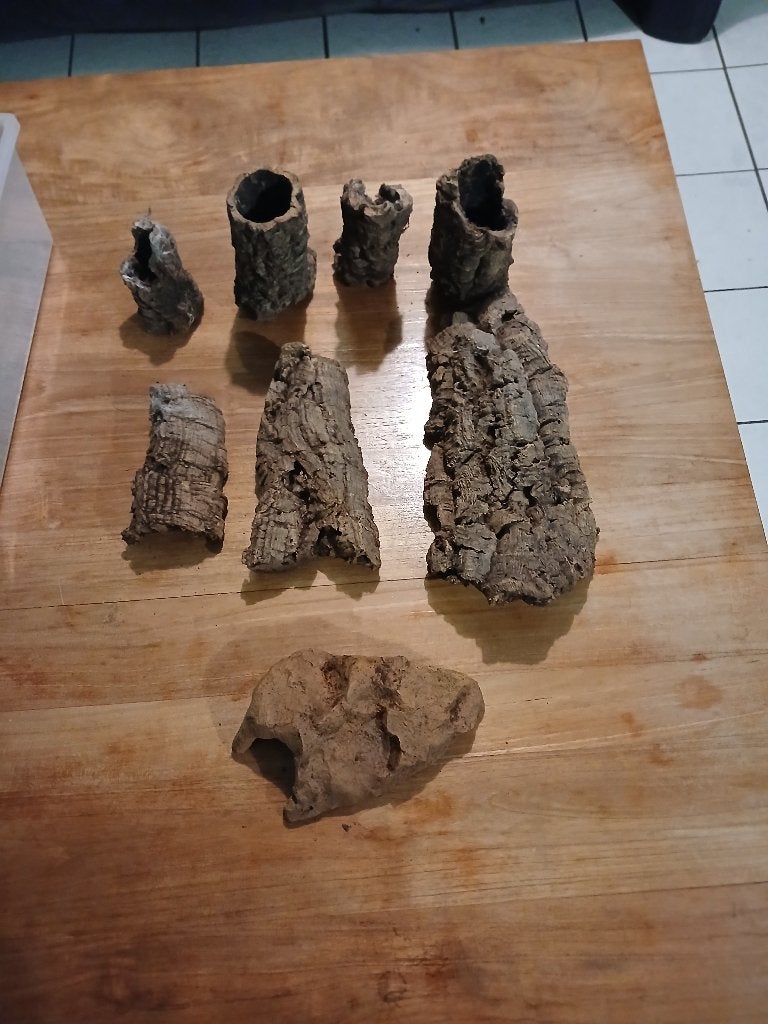 kurk terraium, Dieren en Toebehoren, Ophalen, Zo goed als nieuw, Tak, Plant, Rots of Steen