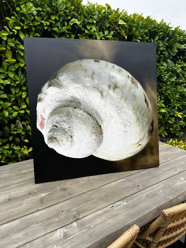 Canvas print Strandgaper schilderij 80x80 cm - nieuw, Antiek en Kunst, Ophalen