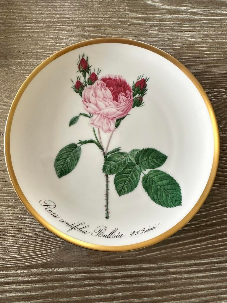 Hutschenreuther Redoute Rozen Sierbord - Rosa centifolia Bul, Ophalen