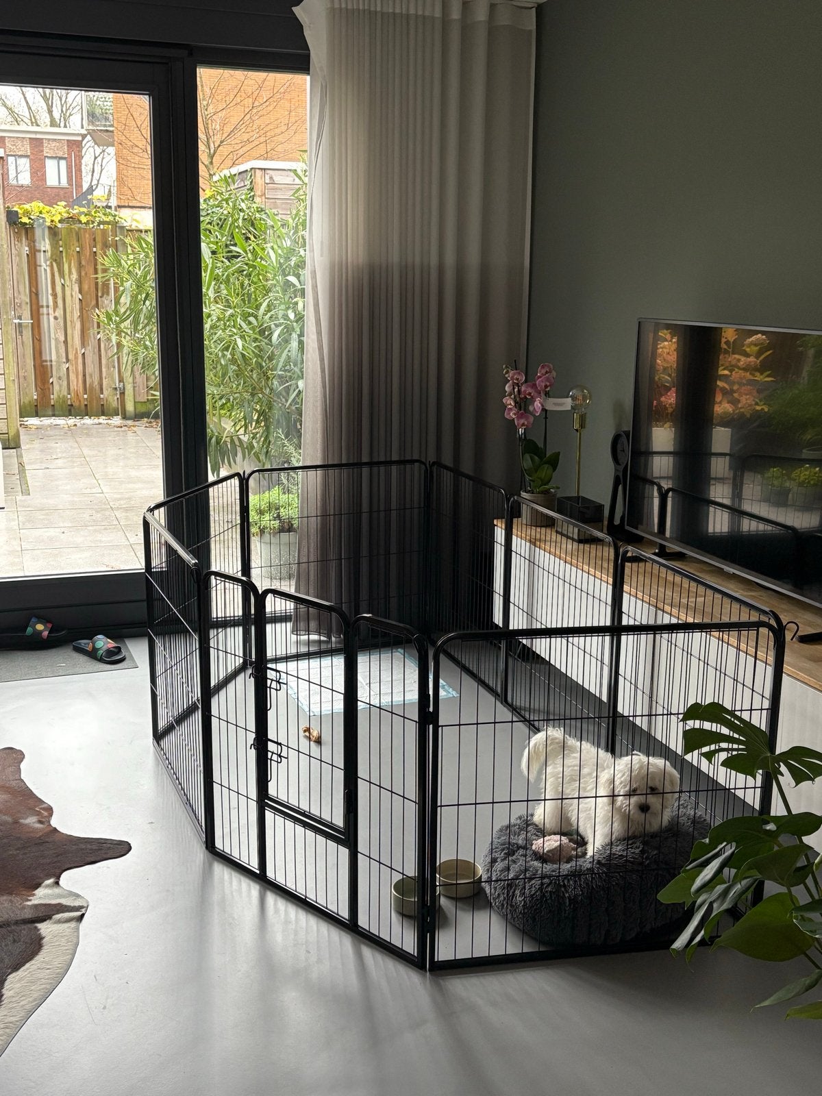 Bench Ren voor hond Maxxpro, Ophalen, Zo goed als nieuw