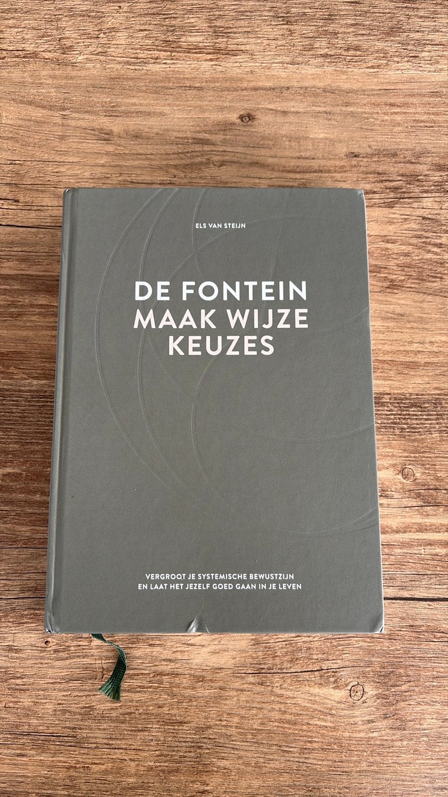 De Fontein: Maak Wijze Keuzes - Els van Steijn, Boeken, Ophalen of Verzenden, Gelezen