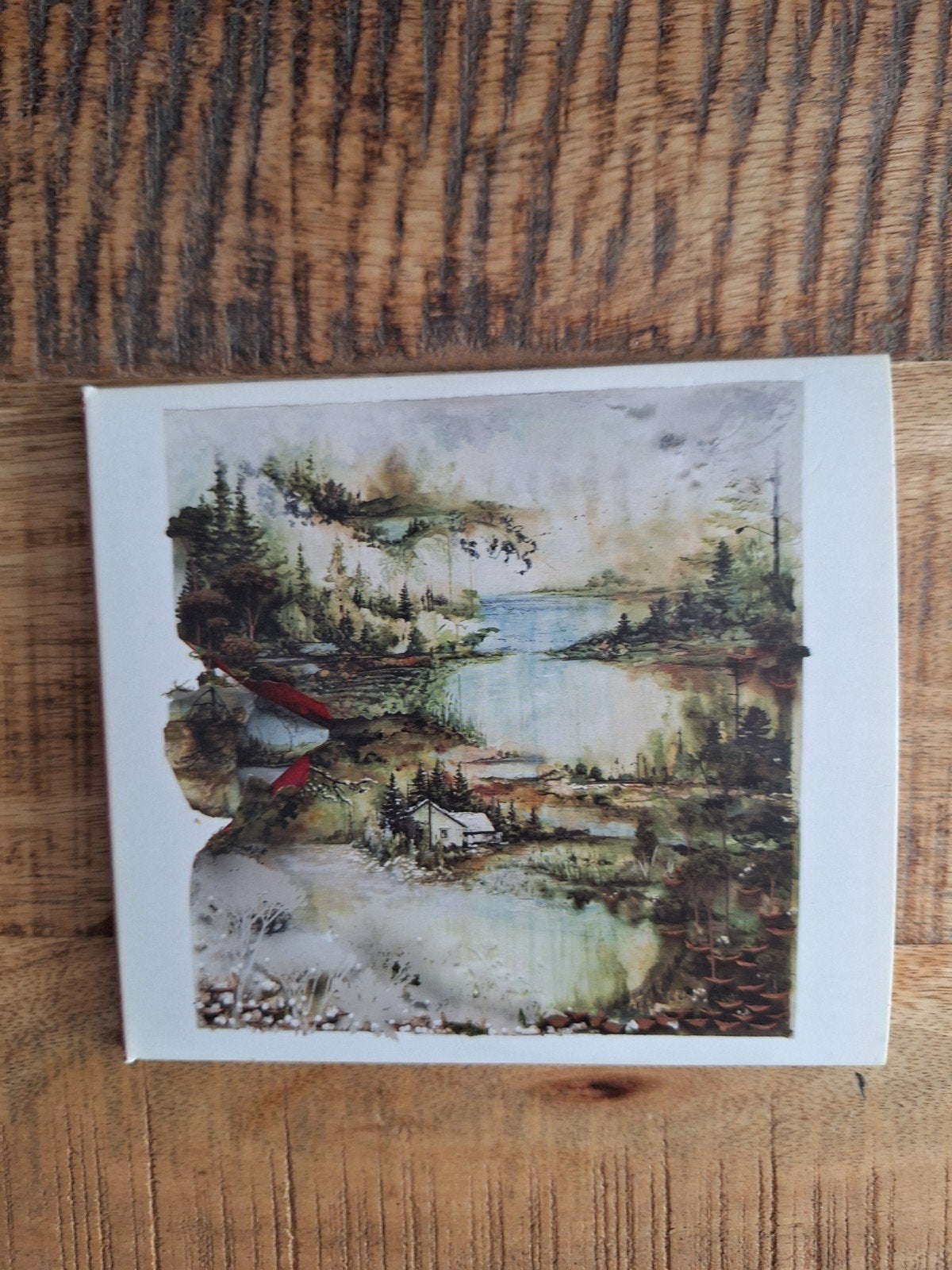 CD Bon Iver - Bon Iver, Ophalen of Verzenden, Zo goed als nieuw