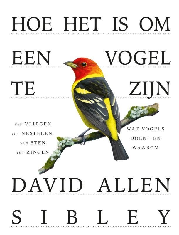 Hoe het is om een vogel te zijn., Ophalen of Verzenden, Zo goed als nieuw, Overige onderwerpen