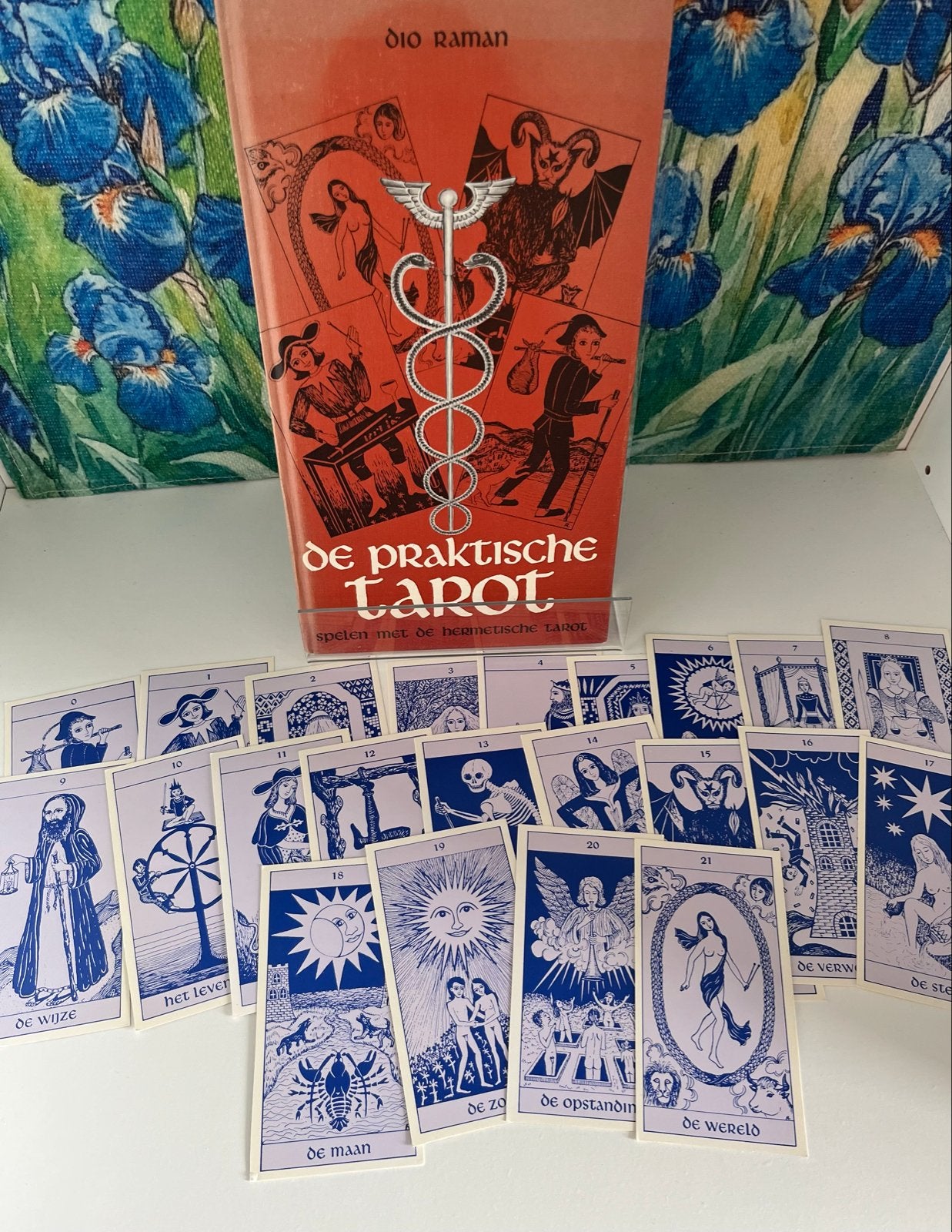 De Praktische Tarot - Dio Raman (boek en kaarten), Gelezen, Dio Raman, Tarot of Kaarten leggen, Ophalen of Verzenden