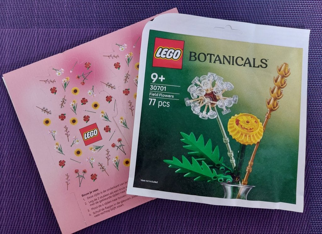1x NIEUW Setje Lego Botanicals 9+ met kartonnen vaas 30701, Ophalen of Verzenden, Nieuw, Knutselwerk