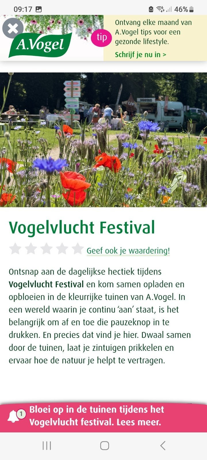 Vogelvlucht festival 2 kaarten, Twee personen