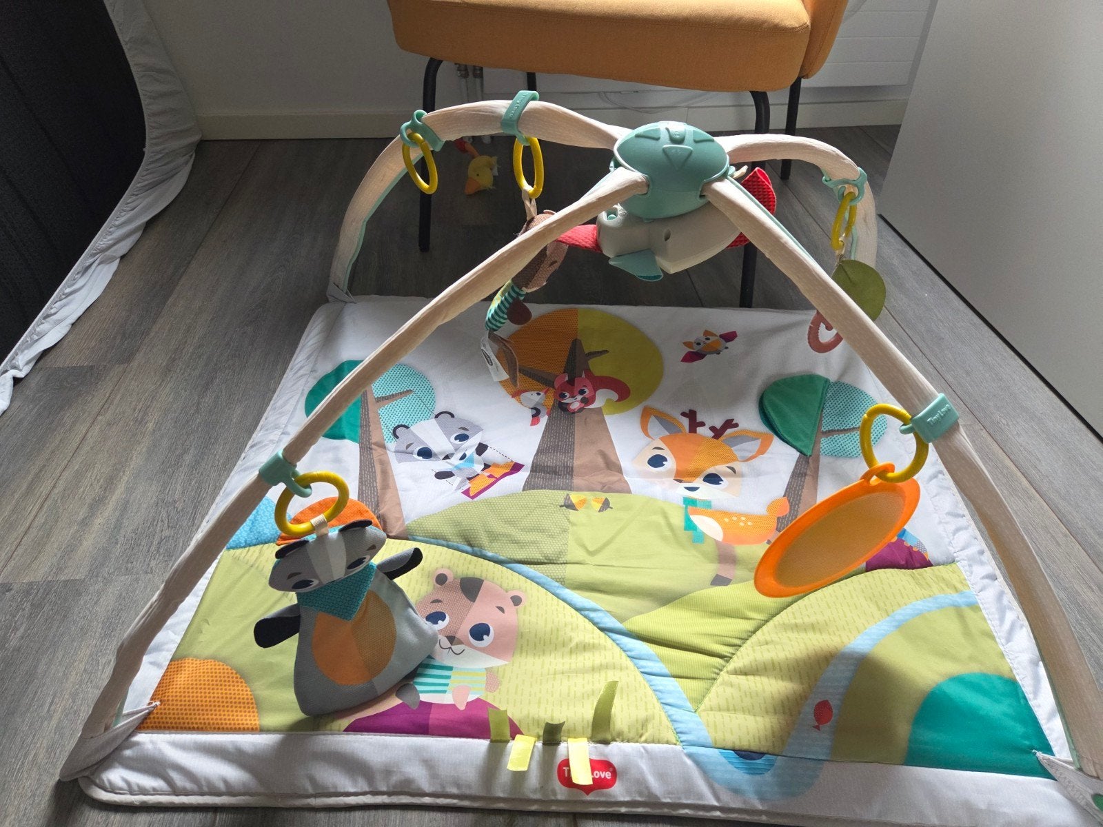 Tiny Love Speelkleed met muziek, Ophalen, Zo goed als nieuw, Speelkleed, Met licht