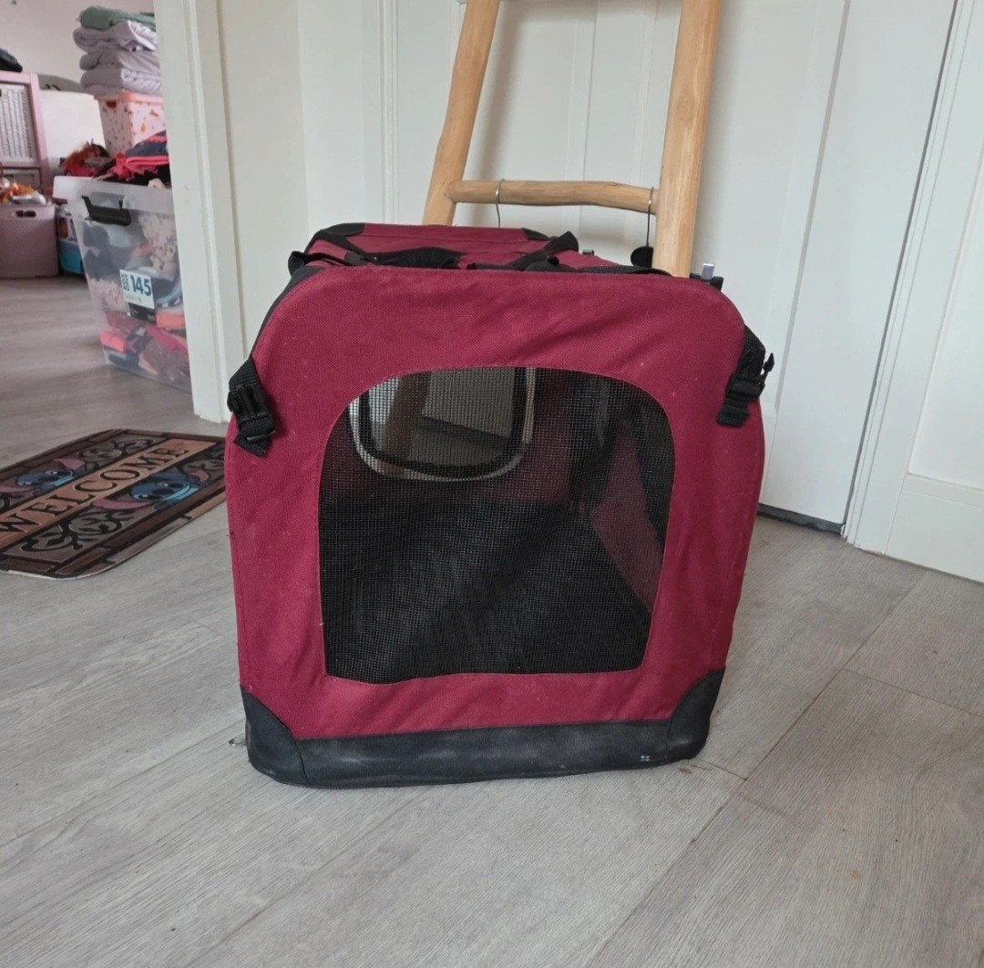 Grote reismand voor 2 katten of een hond, Ophalen
