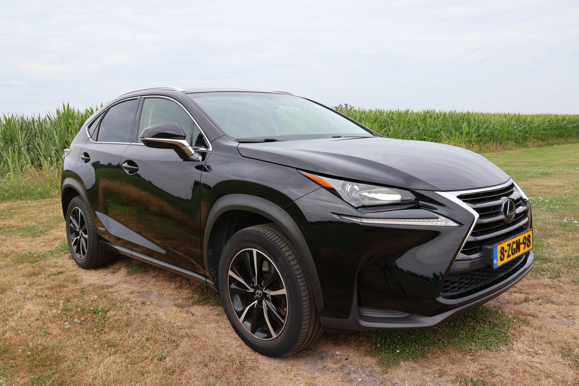 Lexus NX 300h AWD 25th Edition|Trekhaak|Leer|Dealer onderhou, Auto's, Lexus, Automaat, Gebruikt, Adaptive Cruise Control, Bedrijf