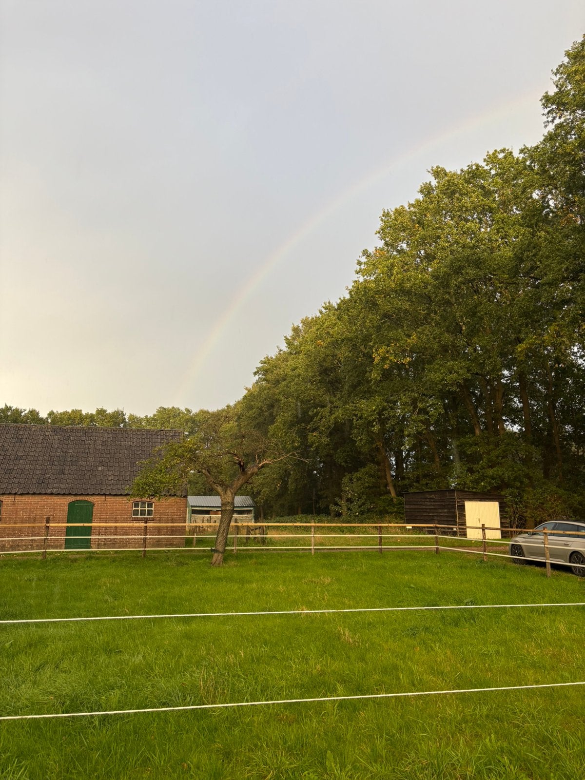 Plek vrij op kleinschalige paddock paradise Veenendaal, Dieren en Toebehoren, Stalling, 1 paard of pony