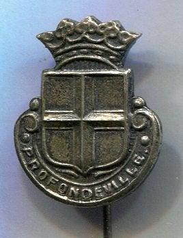Profondevlle zilverkleurig wapen speldje ( U_053), Verzenden, Zo goed als nieuw, Stad of Land, Speldje of Pin
