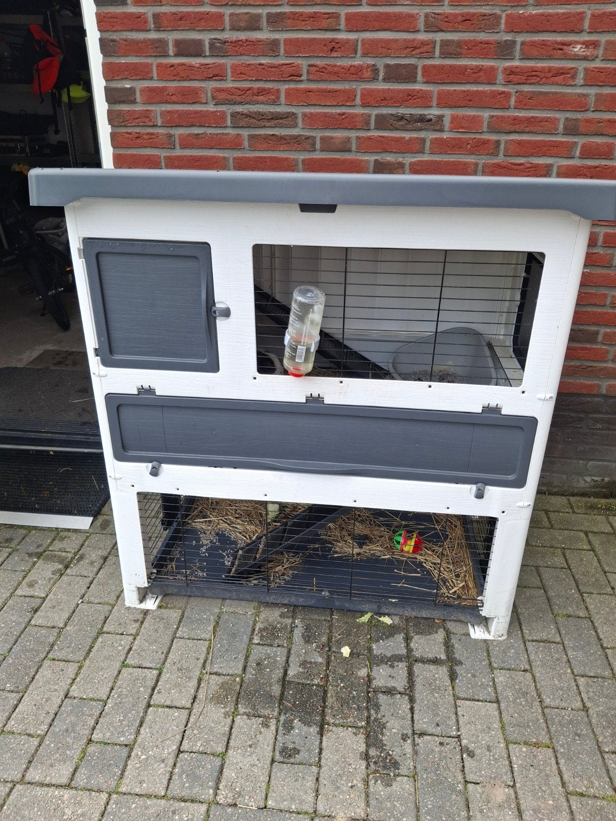 Leuk konijntje inclusief hok., Dieren en Toebehoren, Zo goed als nieuw, Konijn, Hok, Ophalen