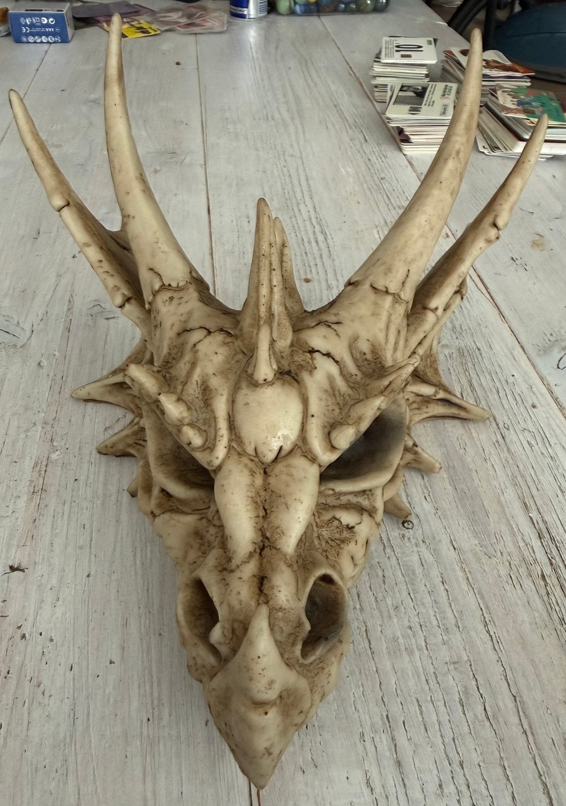 Drakenkop decoratie kunststof nieuw in doos, Verzamelen, Beelden en Beeldjes, Ophalen of Verzenden, Nieuw, Fantasy