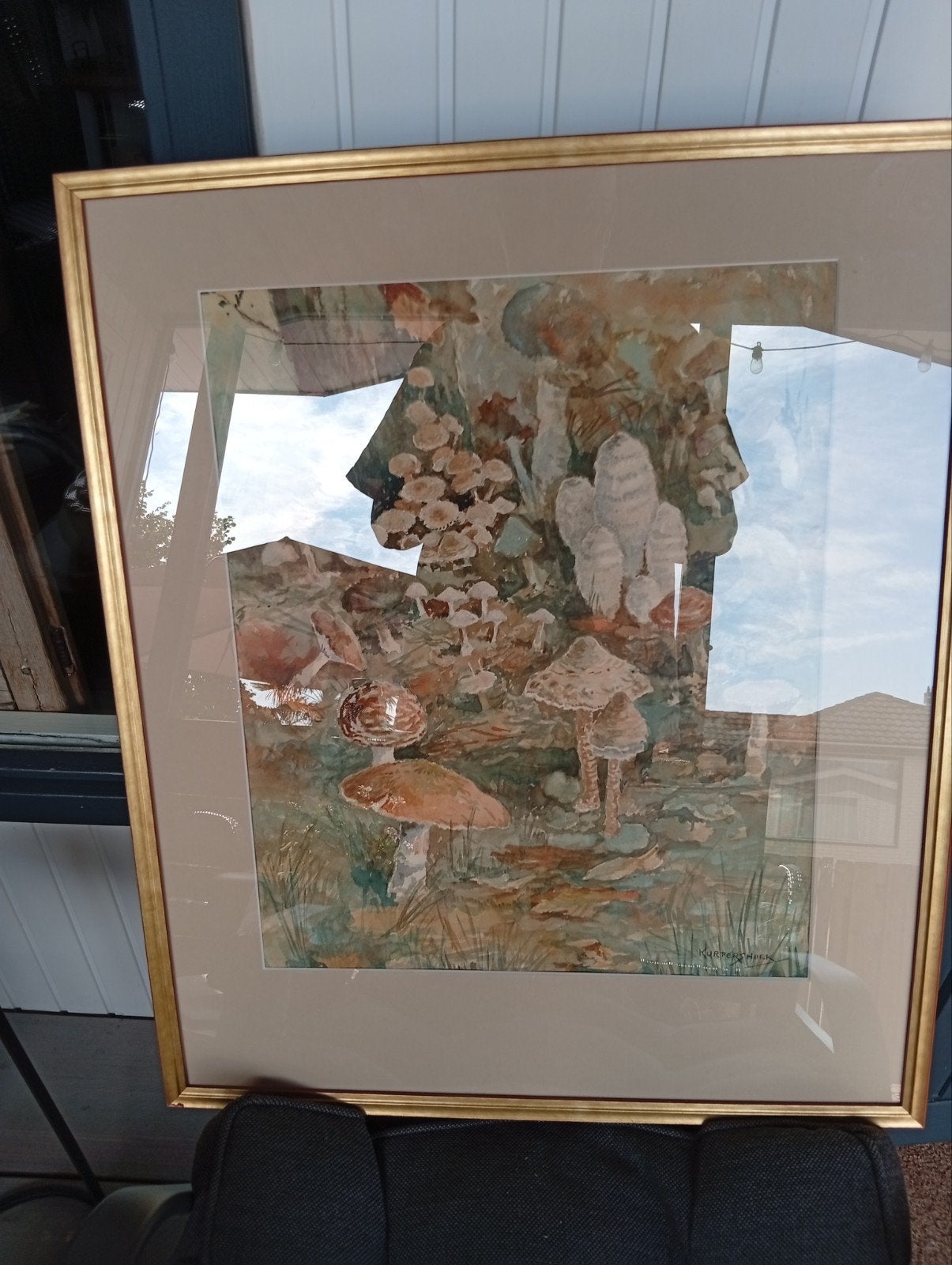 Aquarel Paddenstoelen vanleo Kurpershoek, ingelijst, Antiek en Kunst, Ophalen of Verzenden