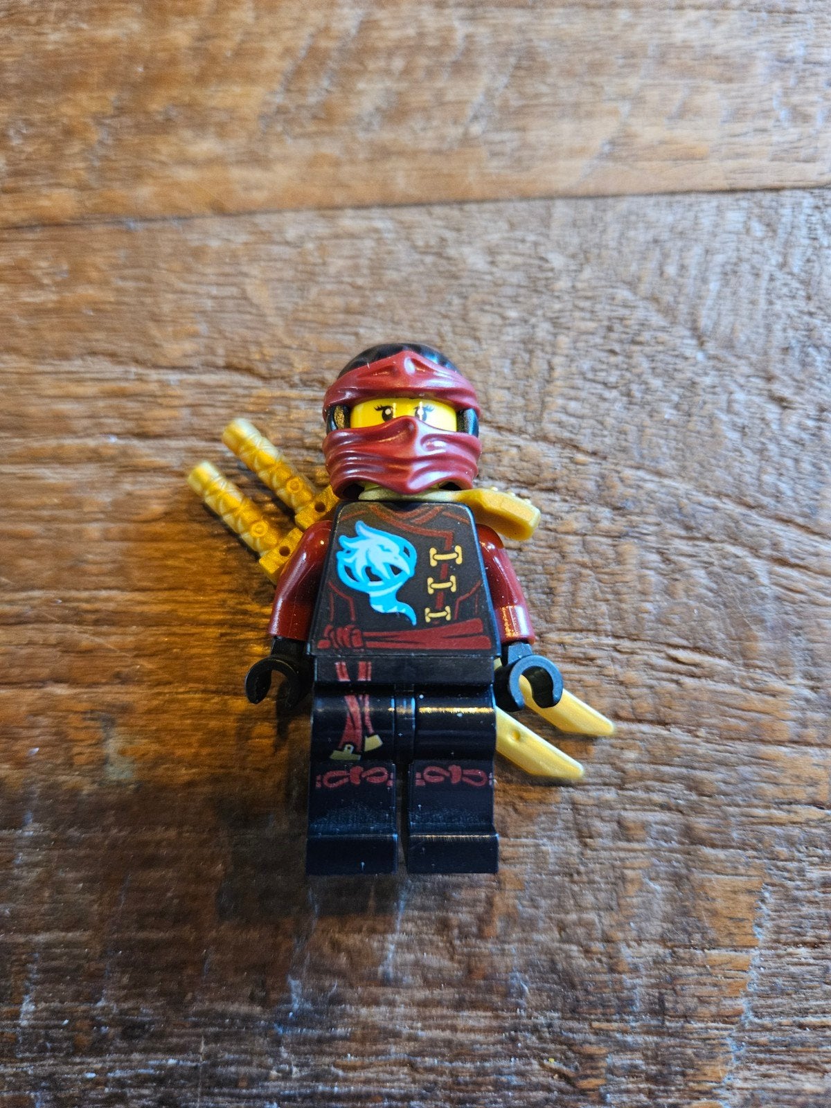 LEGO Ninjago Nya Skybound Minifiguur met wapens