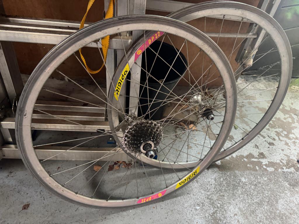 26 inch wielen met hoge velg - Rigida DP22, Ophalen, Gebruikt, Mountainbike, Wiel