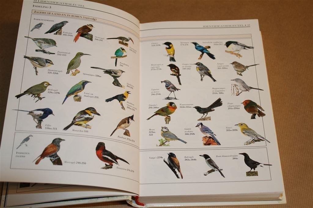 Wereldvogels. Gids voor 800+ vogelsoorten., Ophalen of Verzenden, Gelezen, Vogels