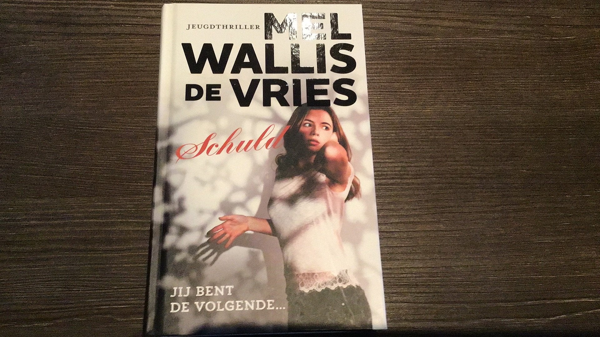 Schuld ,gebroken,vlucht,zwijg, Ophalen of Verzenden, Zo goed als nieuw