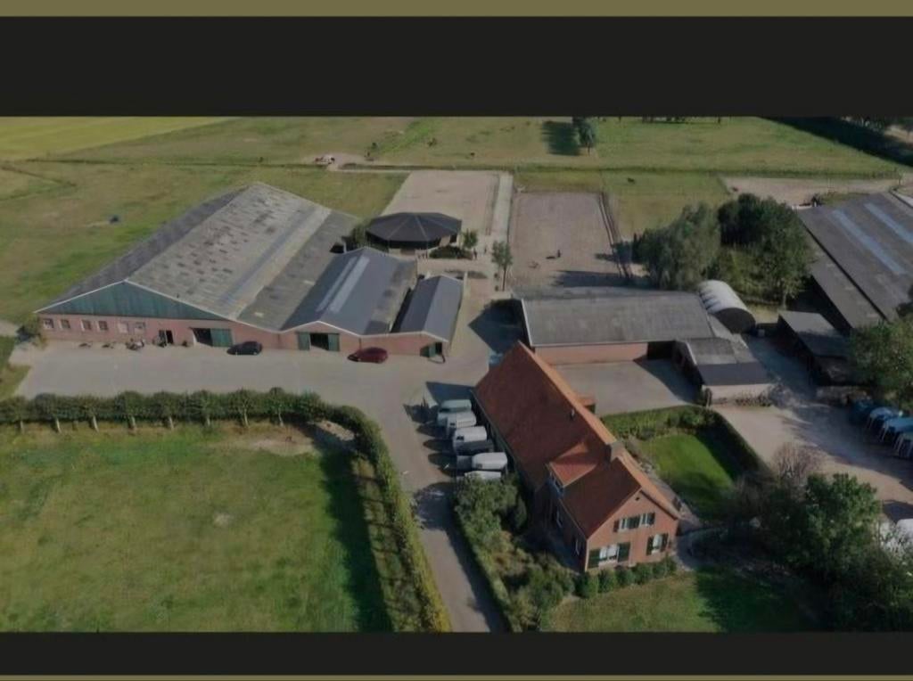 Stalling Breda, Dieren en Toebehoren, Stalling en Weidegang, Weidegang