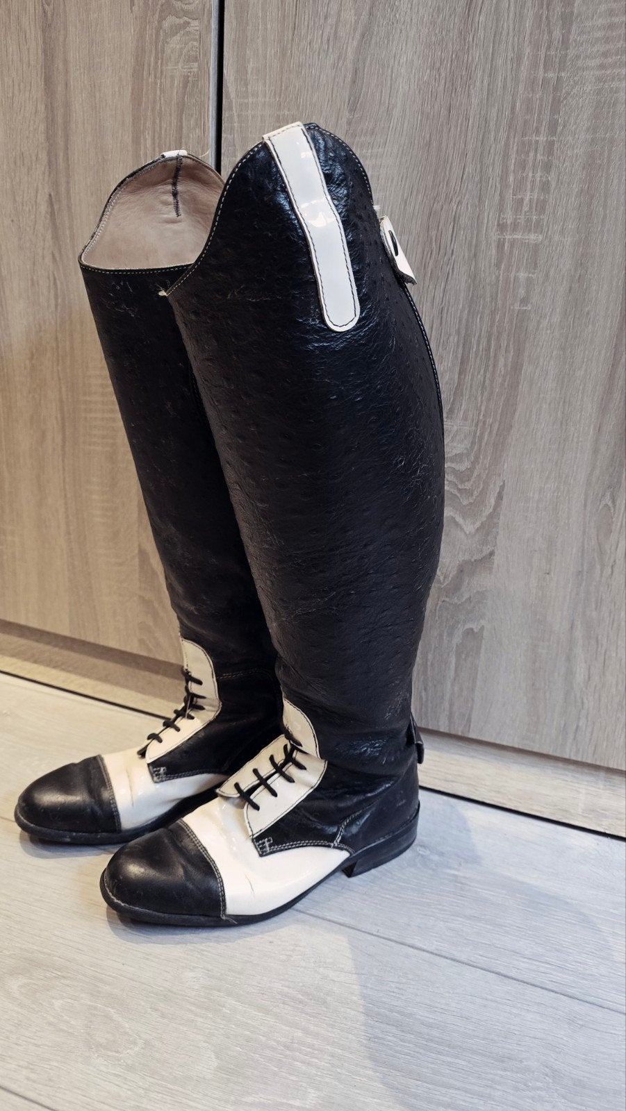 Paardrijlaarzen maat 41, Dieren en Toebehoren, Paardrijkleding, Ophalen of Verzenden