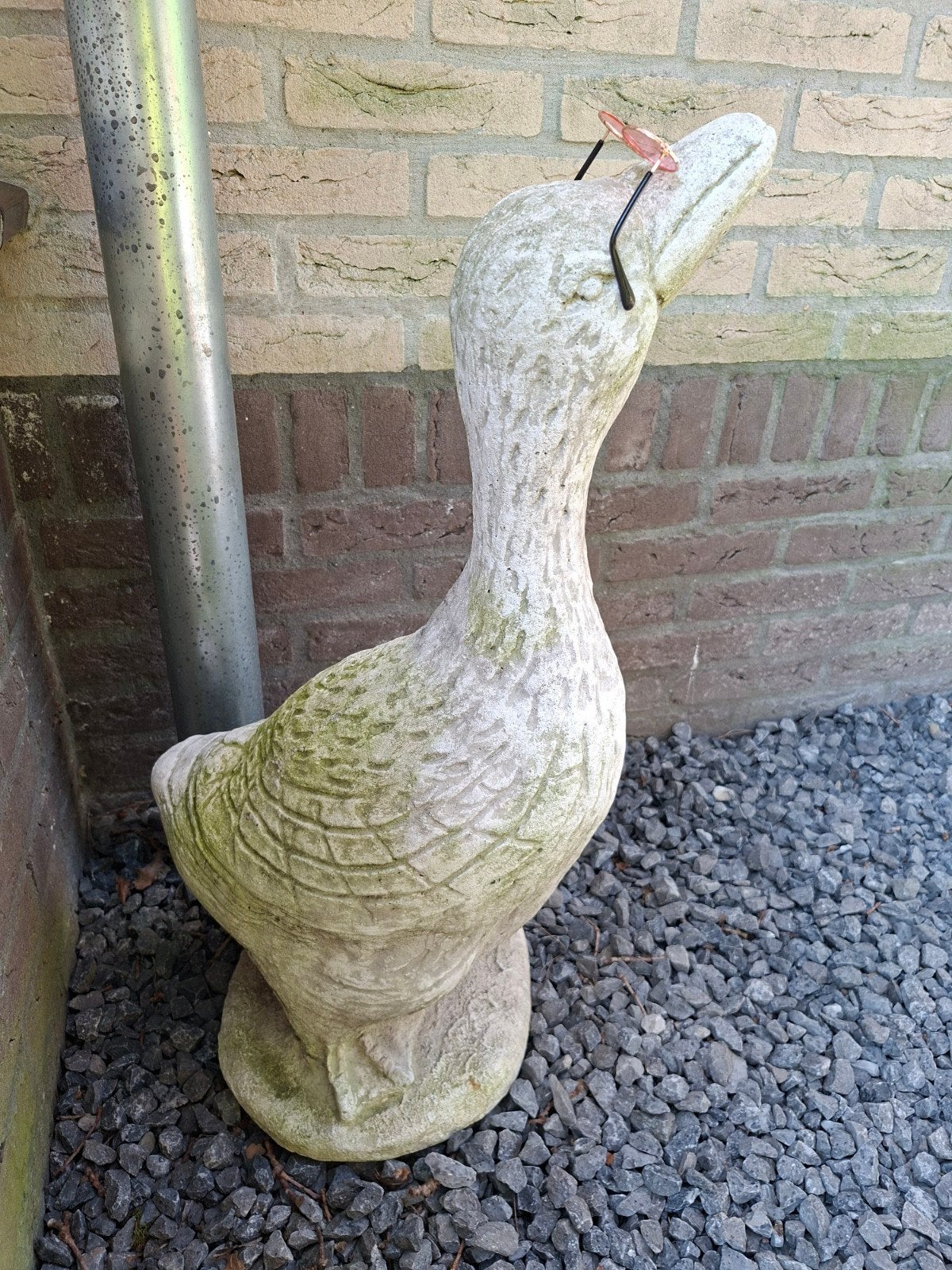 betonnen gans, Ophalen