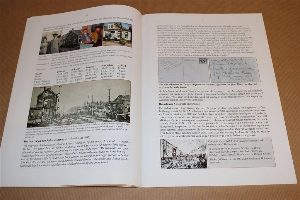 Hoogezand & Sappemeer in Oorlogstijd — Ooggetuigen, Boeken, Geschiedenis | Stad en Regio, Ophalen of Verzenden, Gelezen