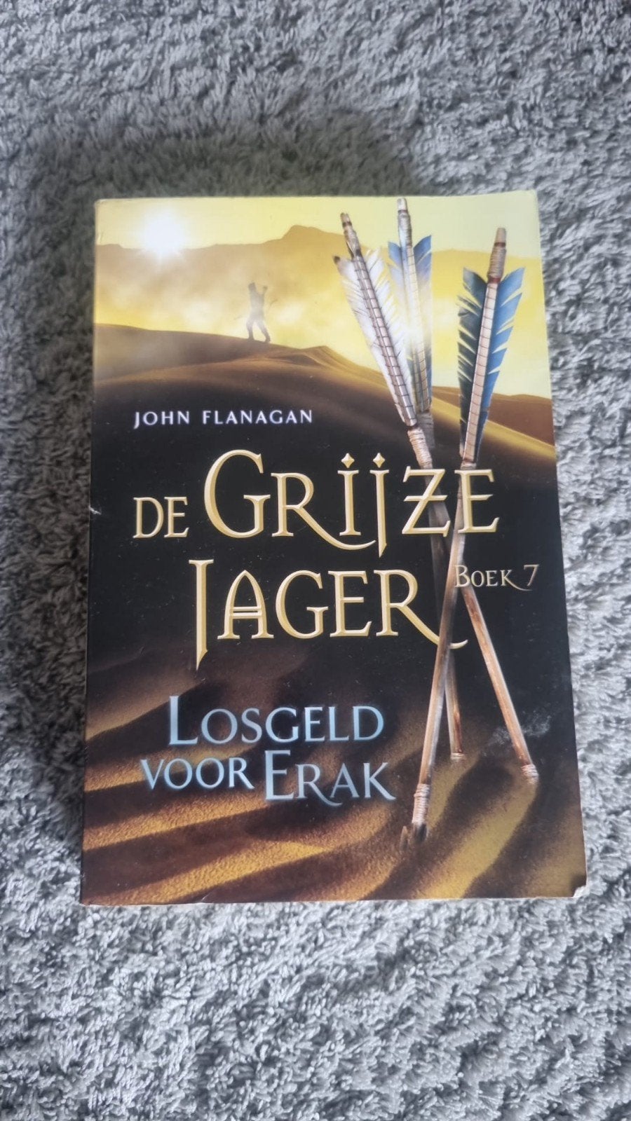 De grijze jager boek 7, Boeken, Ophalen of Verzenden