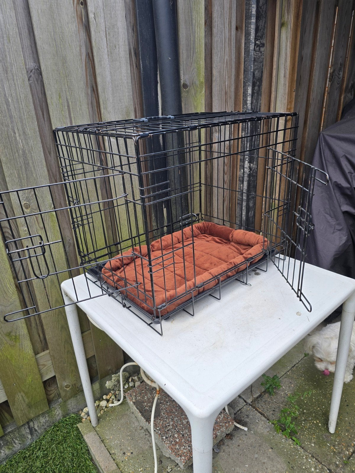Diverse artikelen voor puppy's en/of kleine hondjes., Ophalen, Nieuw
