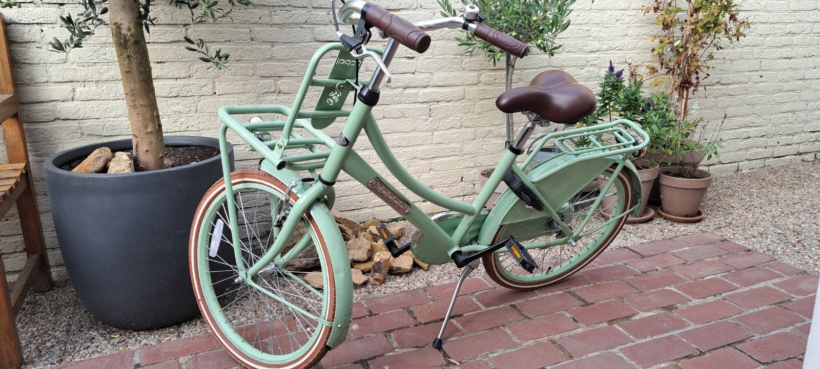 Popal Daily Dutch Basic fiets - Mintgroen, Fietsen en Brommers, Terugtraprem, Gebruikt, 50 tot 53 cm, Ophalen