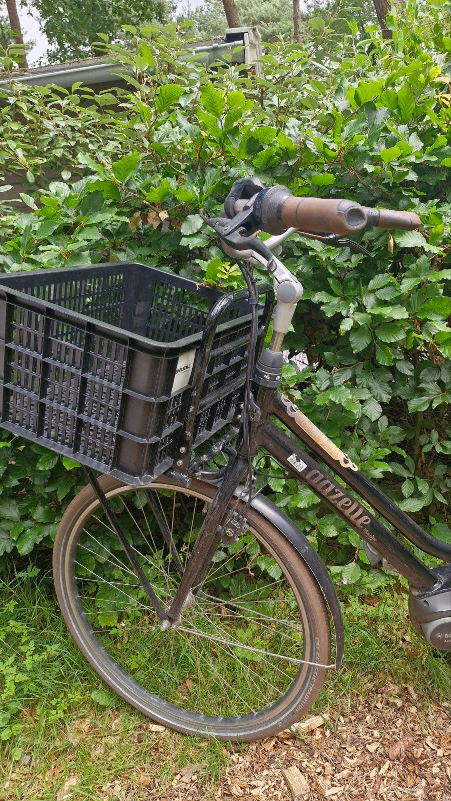 Gazelle elektrische fiets met Bosch motor, Ophalen, Gebruikt, Gazelle