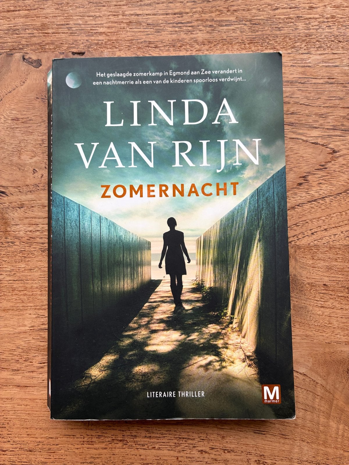 Zomernacht - Linda van Rijn (Literaire thriller), Ophalen of Verzenden, Gelezen, Nederland