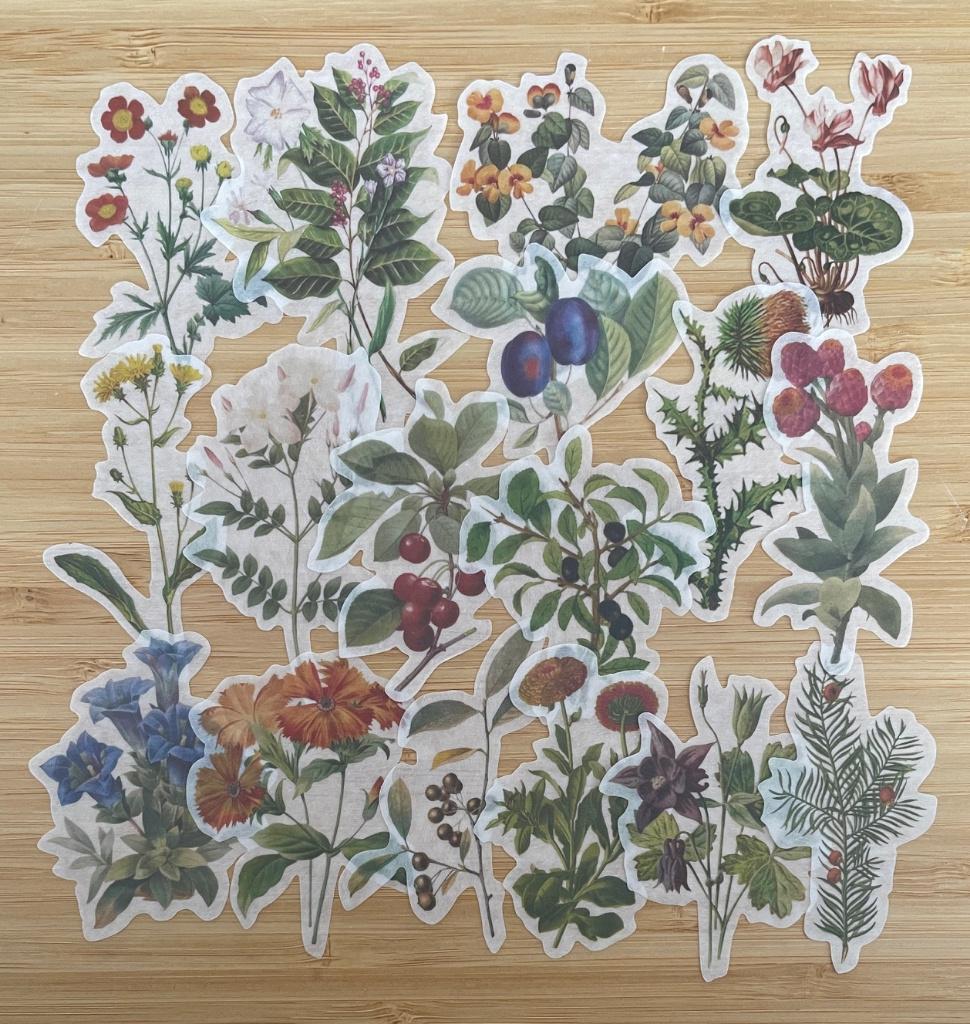 Bloemen stickers, Verzenden, Nieuw, Meerdere stickers