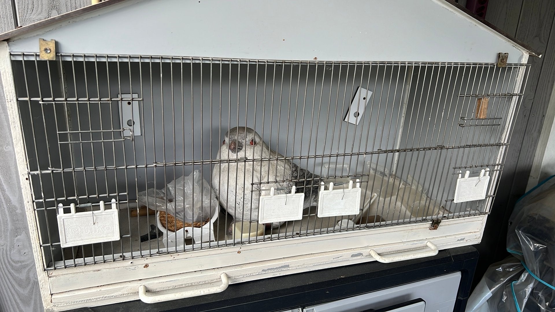 Vogel kooi, Ophalen, Zo goed als nieuw, Metaal, Vogelkooi