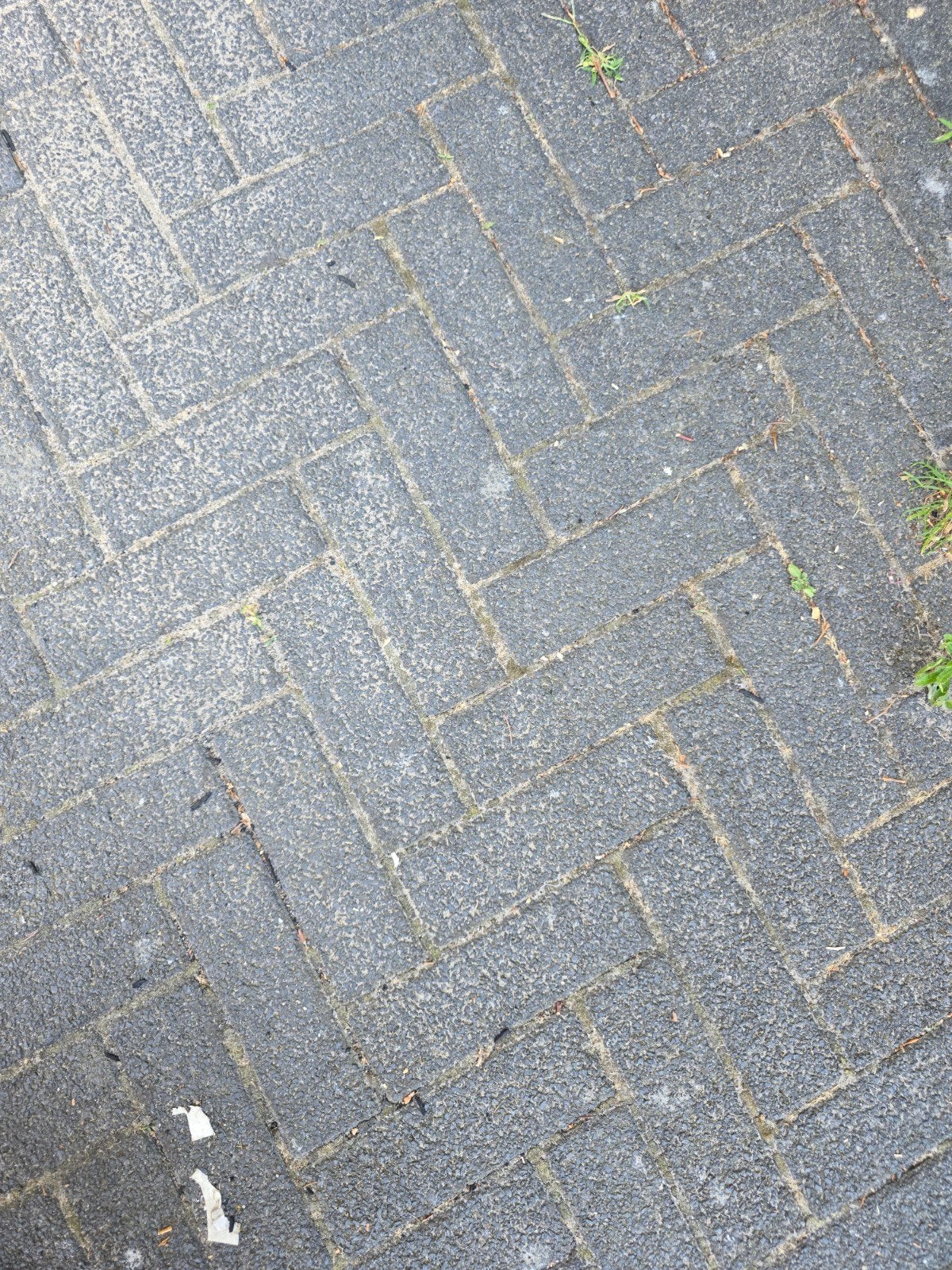 Gratis af te halen: 30m2 gebruikte betonnen klinkers, Ophalen, Gebruikt, Klinkers, 10 m² of meer